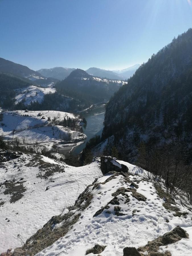 Vikendica Moonlight Villa Zaovine ภายนอก รูปภาพ
