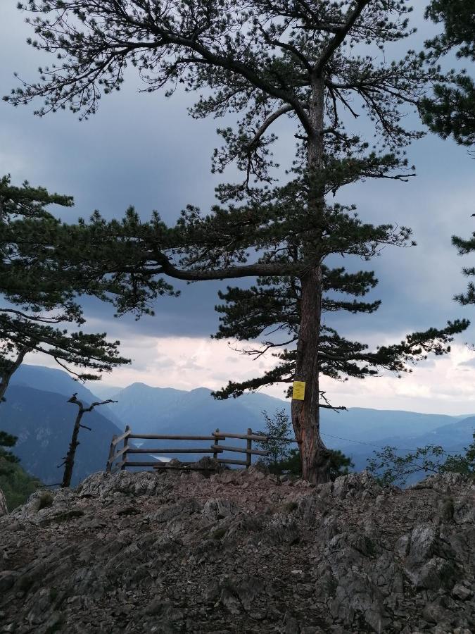 Vikendica Moonlight Villa Zaovine ภายนอก รูปภาพ