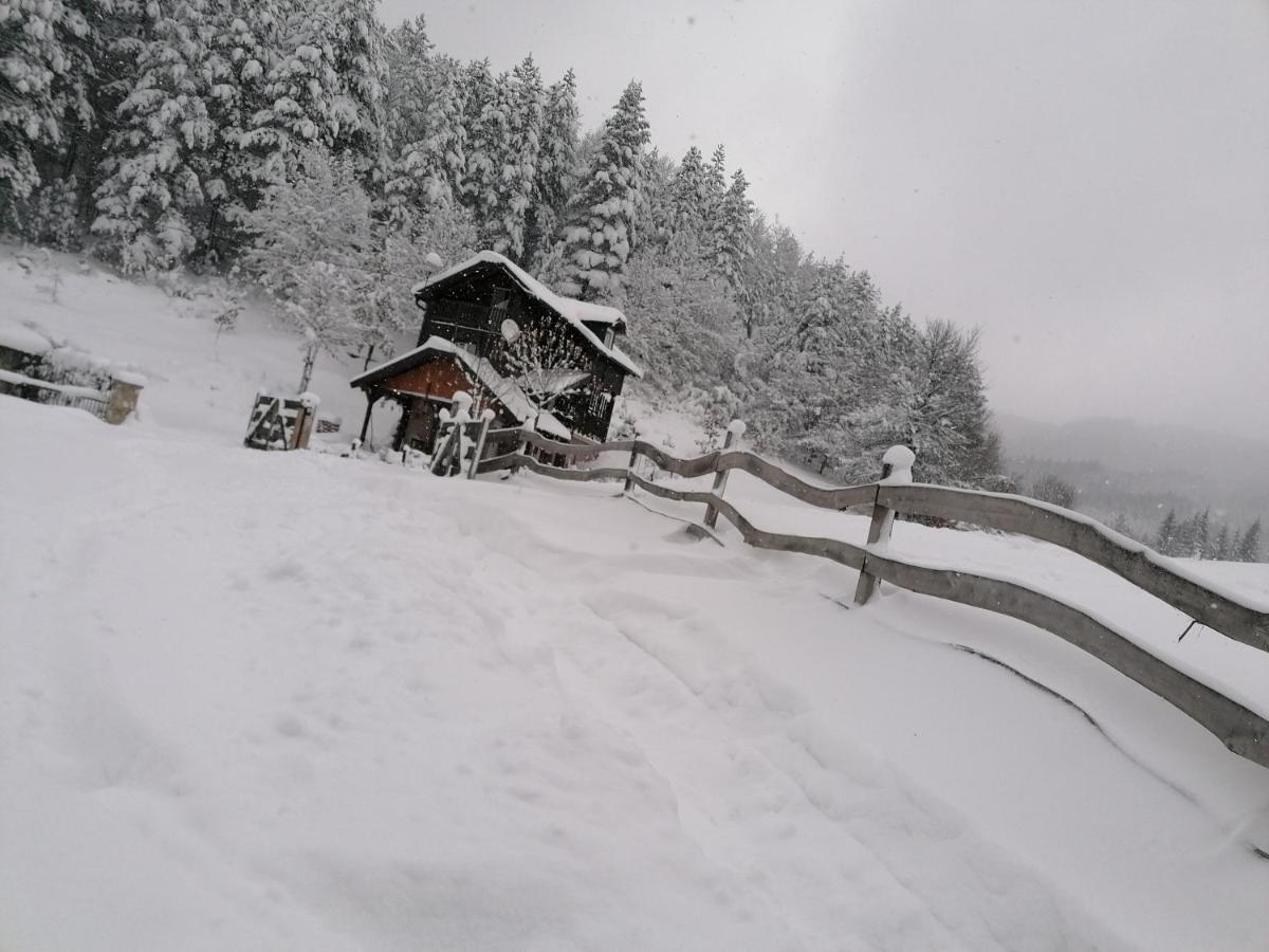 Vikendica Moonlight Villa Zaovine ภายนอก รูปภาพ