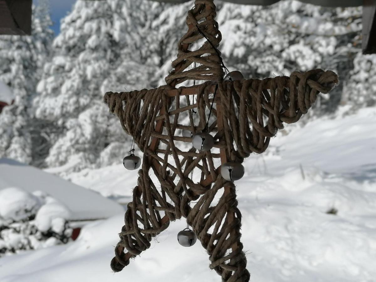 Vikendica Moonlight Villa Zaovine ภายนอก รูปภาพ